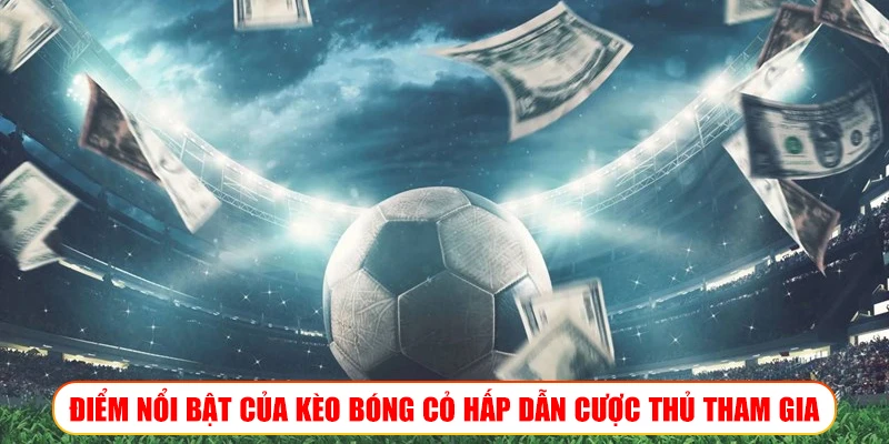Kèo bóng cỏ và kinh nghiệm đọc kèo để thắng lớn trên Wibo88 Điểm nổi bật của kèo bóng cỏ hấp dẫn cược thủ tham gia